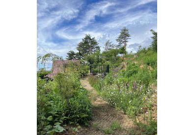 뒷동산