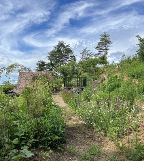 뒷동산